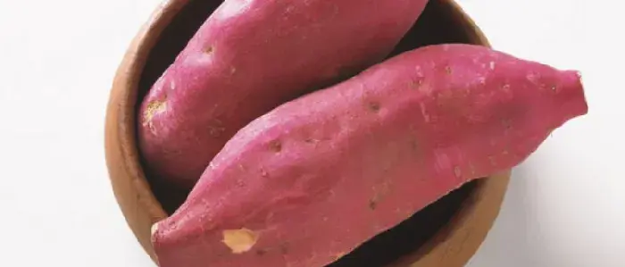 地瓜怕冻吗
