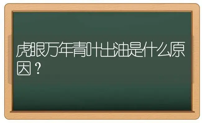 虎眼万年青叶出油是什么原因？ | 植物问答