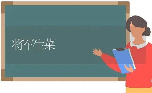将军生菜 | 植物科普