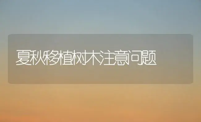 夏秋移植树木注意问题 | 植物知识