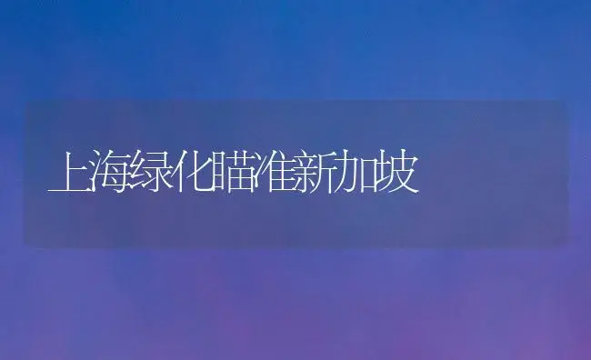 上海绿化瞄准新加坡 | 植物知识
