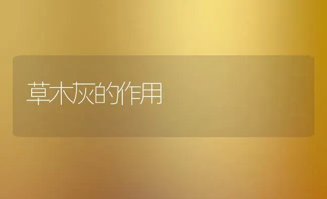 草木灰的作用 | 植物科普