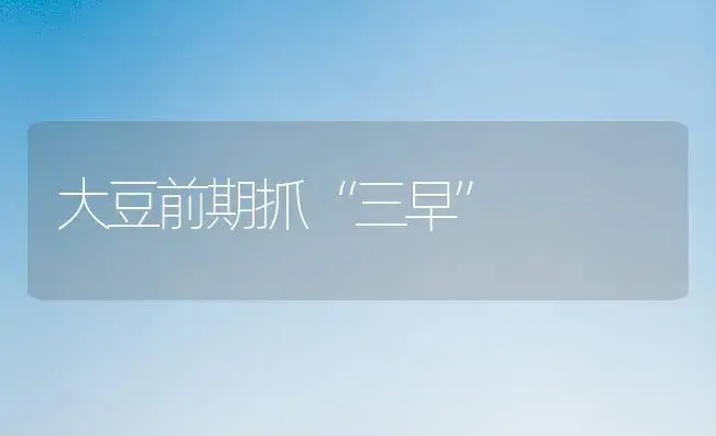 大豆前期抓“三早” | 植物科普