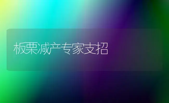 板栗减产专家支招 | 植物科普