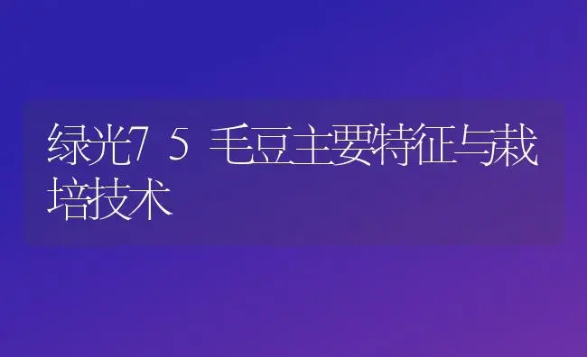 绿光75毛豆主要特征与栽培技术 | 植物科普