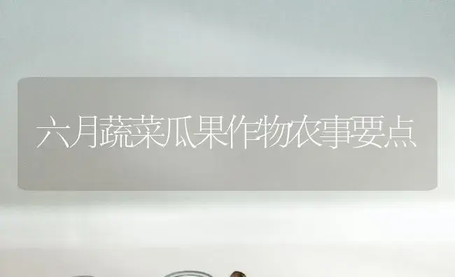 六月蔬菜瓜果作物农事要点 | 植物百科