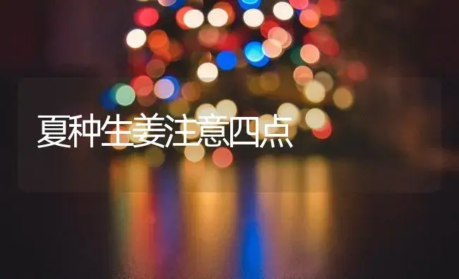 夏种生姜注意四点 | 植物百科