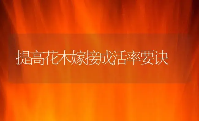您知道花卉微量元素缺乏症咋防治 | 植物知识