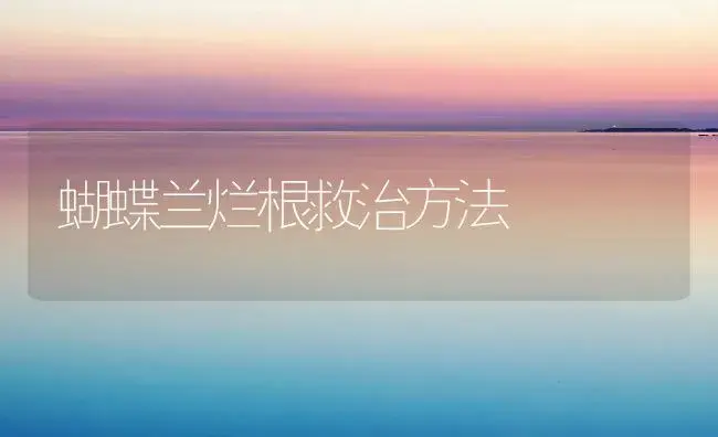 苏铁育苗多采用播种法 | 植物知识