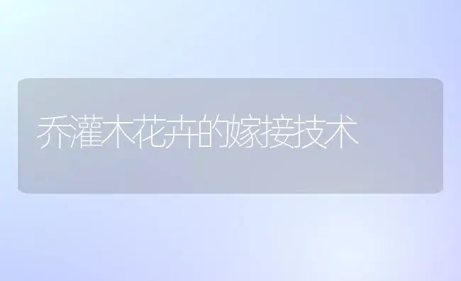 乔灌木花卉的嫁接技术 | 植物知识