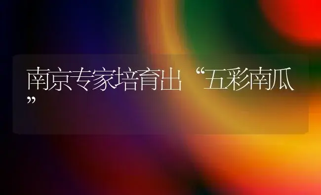 南京专家培育出“五彩南瓜” | 植物科普