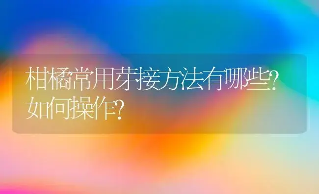 柑橘常用芽接方法有哪些？如何操作？ | 植物科普