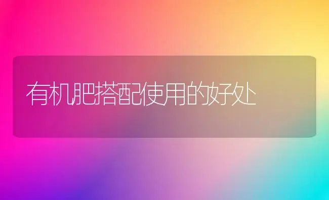 荷兰豆高产高效技法多 | 植物科普
