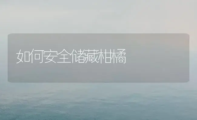 如何安全储藏柑橘 | 植物科普