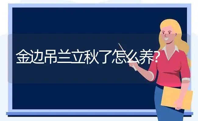 金边吊兰立秋了怎么养？ | 植物问答