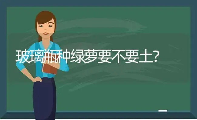 玻璃瓶种绿萝要不要土？ | 植物问答