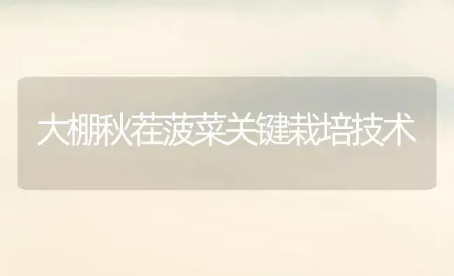 大棚秋茬菠菜关键栽培技术 | 植物科普