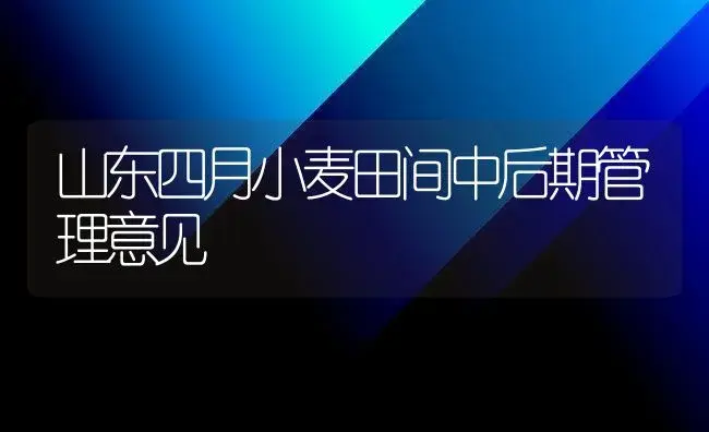 山东四月小麦田间中后期管理意见 | 植物科普