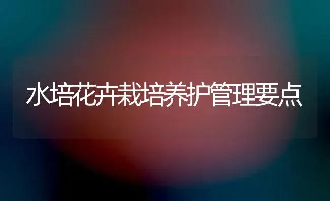 水培花卉栽培养护管理要点 | 植物知识