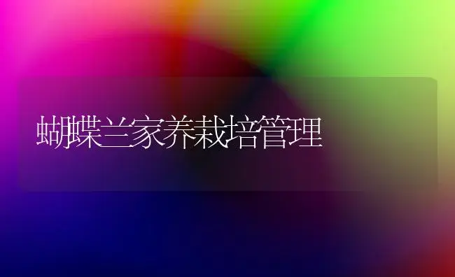 蝴蝶兰家养栽培管理 | 植物科普