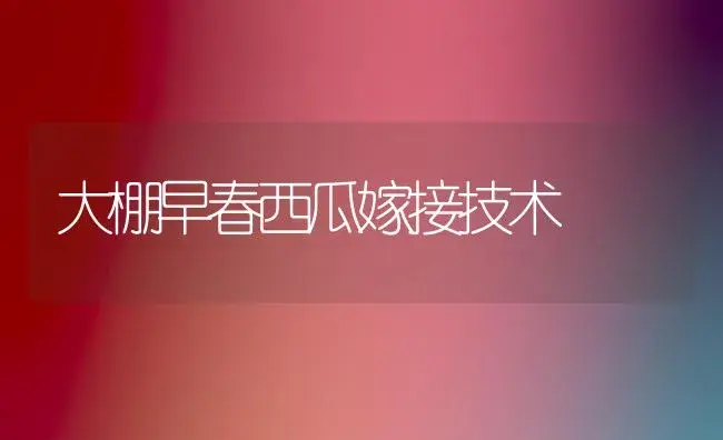大棚早春西瓜嫁接技术 | 植物百科