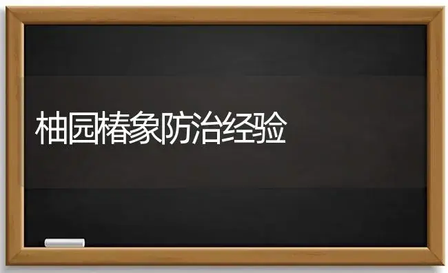 柚园椿象防治经验 | 植物科普