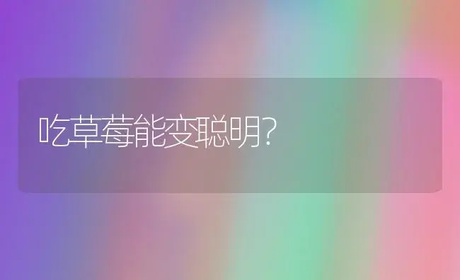 吃草莓能变聪明？ | 植物百科