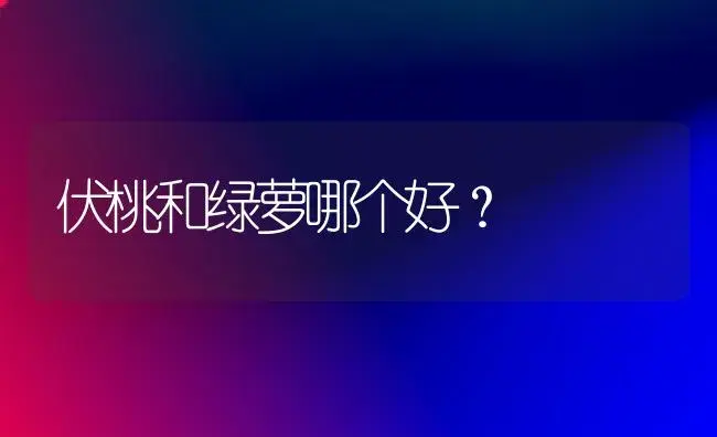 伏桃和绿萝哪个好？ | 植物问答