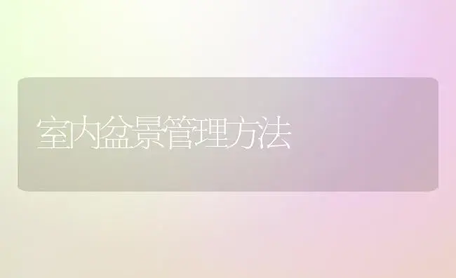 室内盆景管理方法 | 植物科普