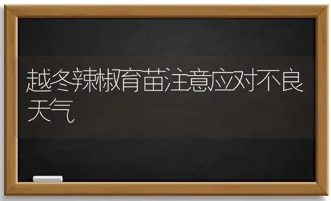 越冬辣椒育苗注意应对不良天气 | 植物科普