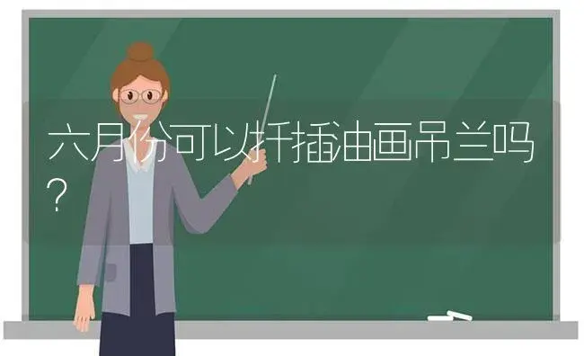 六月份可以扦插油画吊兰吗？ | 植物问答