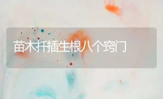 苗木扦插生根八个窍门 | 植物知识