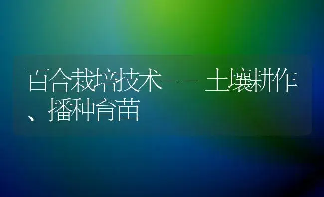 百合栽培技术--土壤耕作、播种育苗 | 植物知识