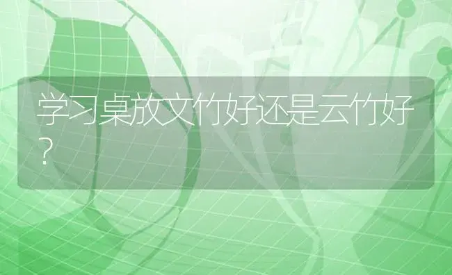 散尾葵和富贵椰子哪种适合家里养？ | 植物问答