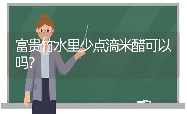 富贵竹水里少点滴米醋可以吗？ | 植物问答