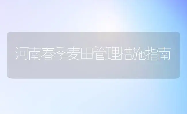 河南春季麦田管理措施指南 | 植物科普