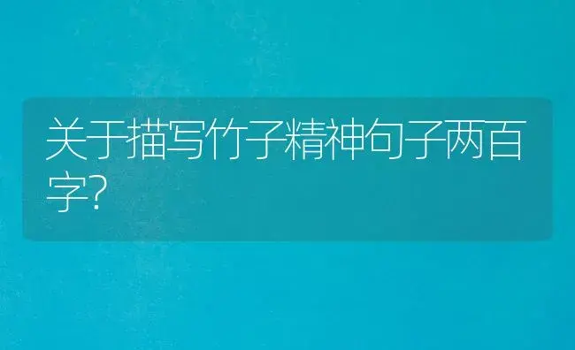 关于描写竹子精神句子两百字？ | 植物问答