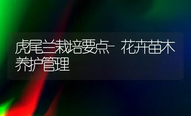 虎尾兰栽培要点-花卉苗木养护管理 | 植物知识