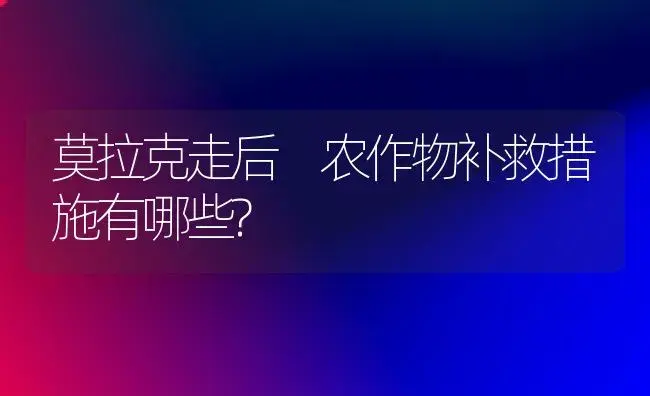 莫拉克走后 农作物补救措施有哪些? | 植物科普