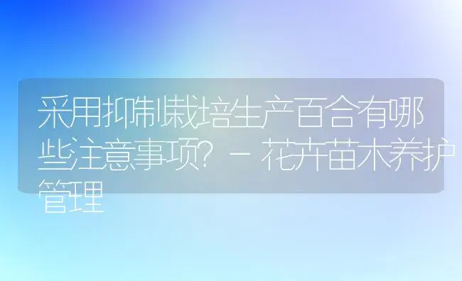 采用抑制栽培生产百合有哪些注意事项？-花卉苗木养护管理 | 植物科普