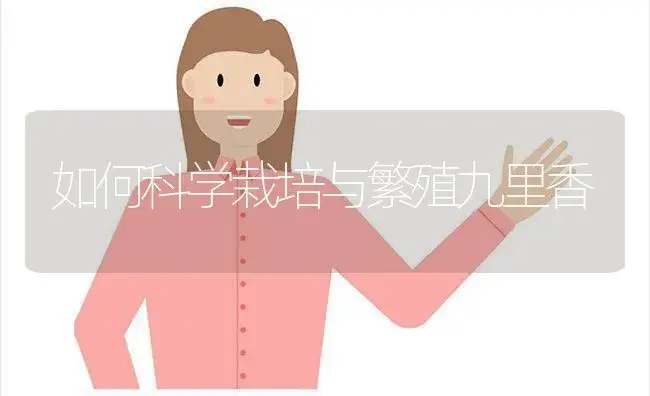 如何科学栽培与繁殖九里香 | 植物科普