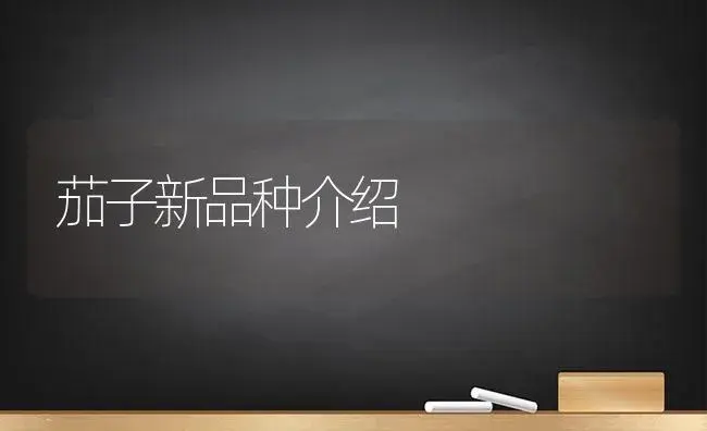 茄子新品种介绍 | 植物科普