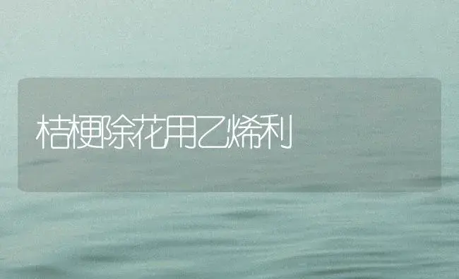 桔梗除花用乙烯利 | 植物百科