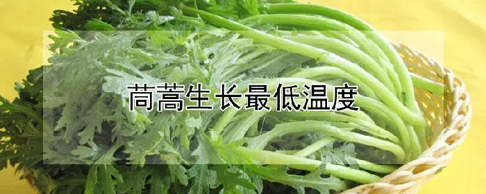 茼蒿生长最低温度