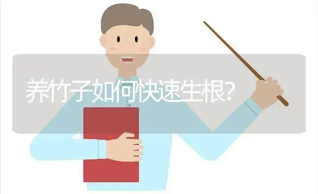 刚买的富贵竹配的生根水该怎么用？ | 植物问答