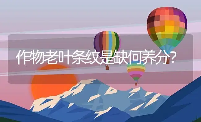 作物老叶条纹是缺何养分？ | 植物资料