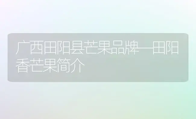 广西田阳县芒果品牌―田阳香芒果简介 | 植物科普