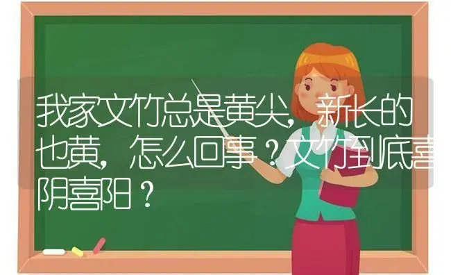 我家文竹总是黄尖，新长的也黄，怎么回事？文竹到底喜阴喜阳？ | 植物问答