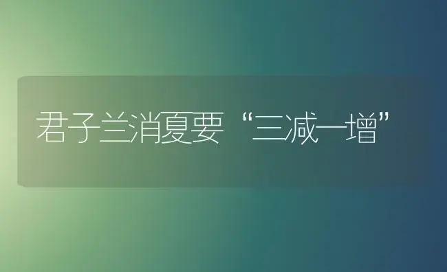君子兰消夏要“三减一增” | 植物科普