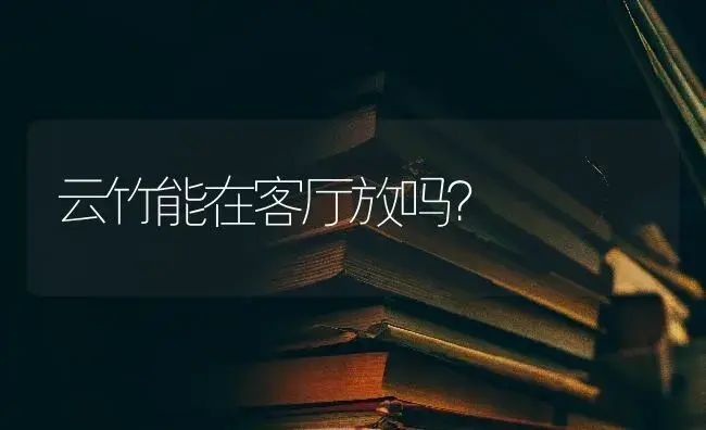 云竹能在客厅放吗？ | 植物问答